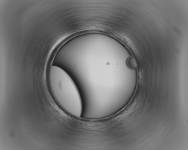 X0000110960780200906191048
