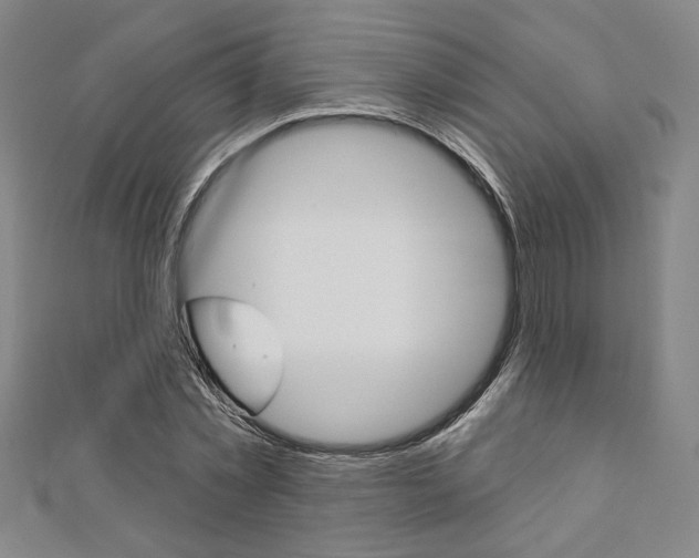X0000110960781200906191048