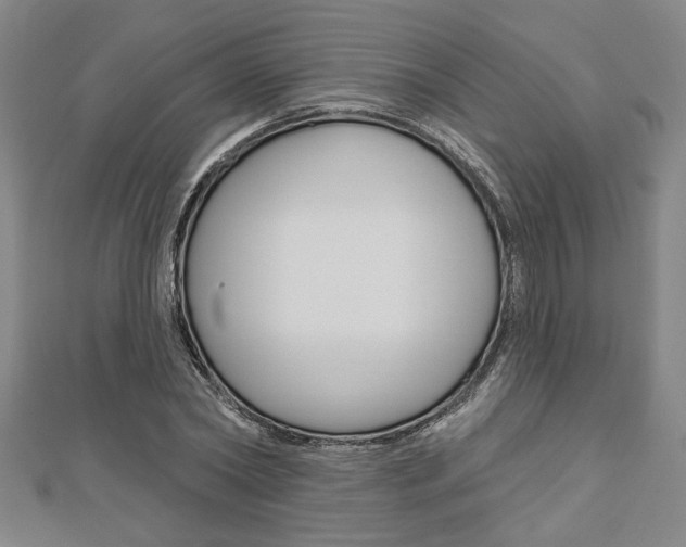 X0000110960782200906191048