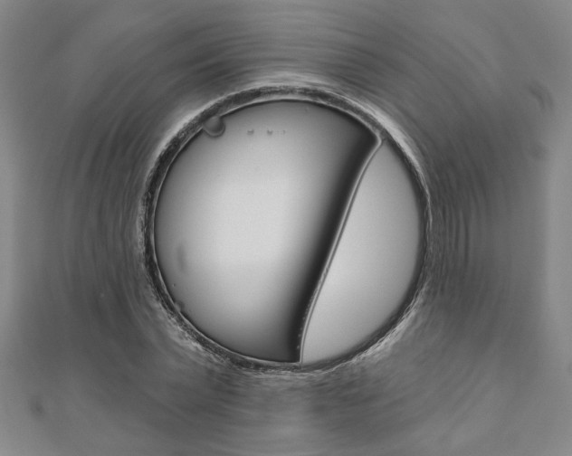 X0000110960783200906191048