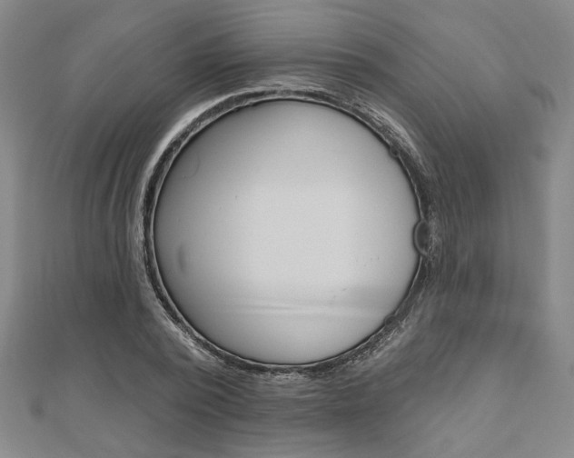 X0000110960784200906191048