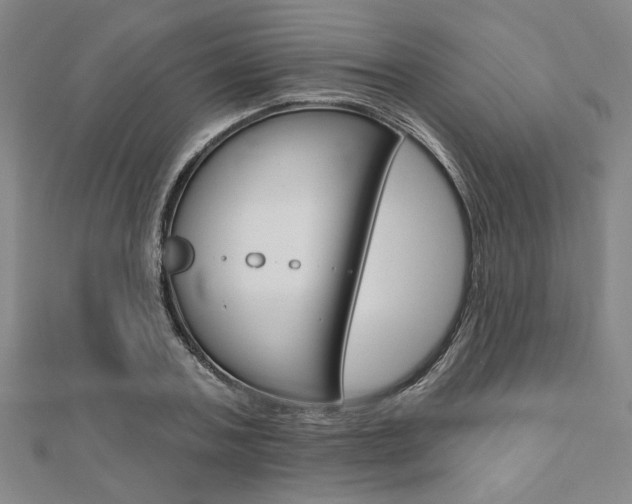 X0000110960787200906191048