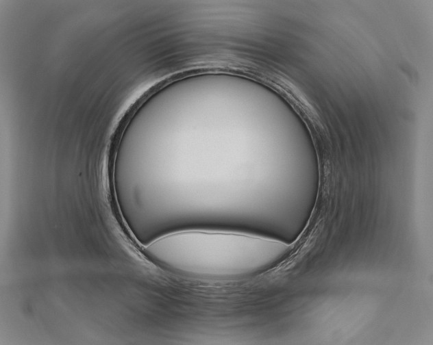 X0000110960788200906191048