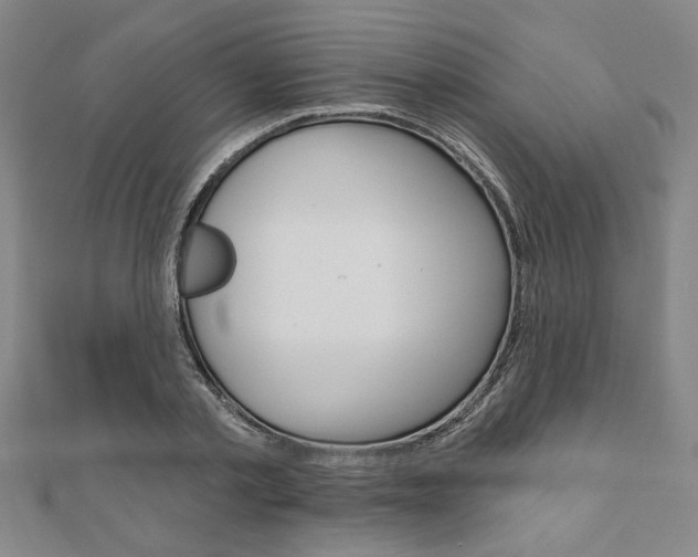 X0000110960789200906191048