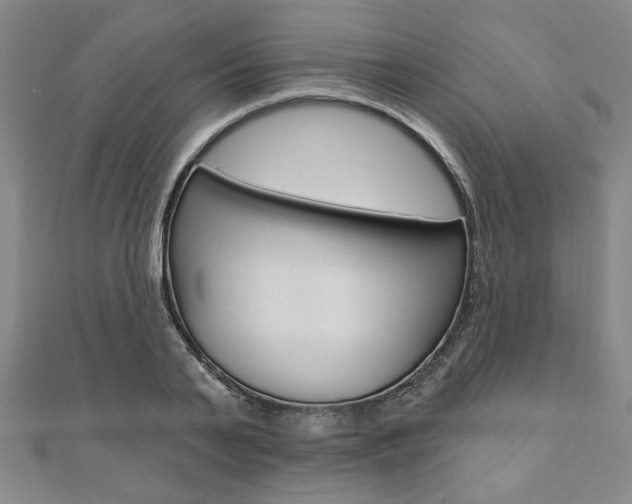 X0000110960791200906191048