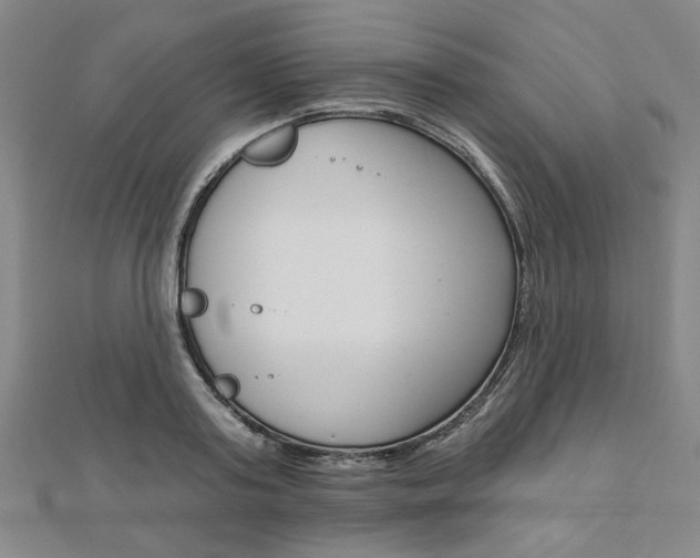 X0000110960795200906191048