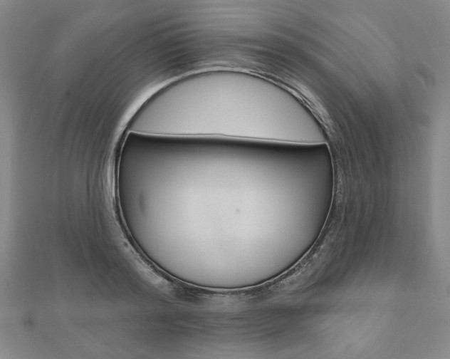 X0000110960796200906191048