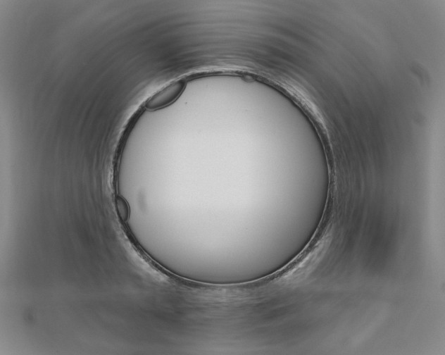 X0000110960797200906191048