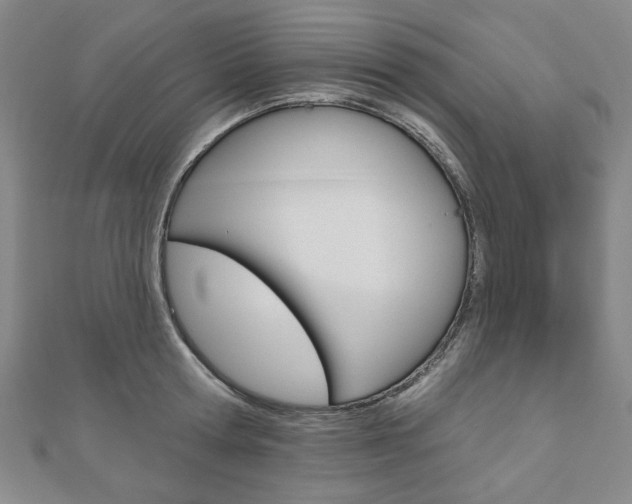 X0000110960802200906191048