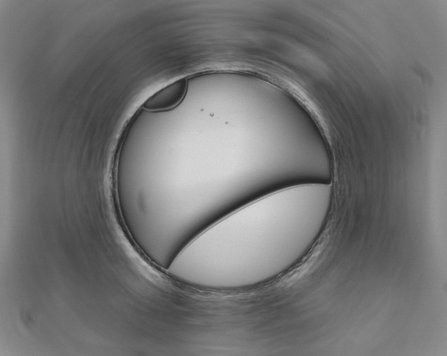 X0000110960803200906191048