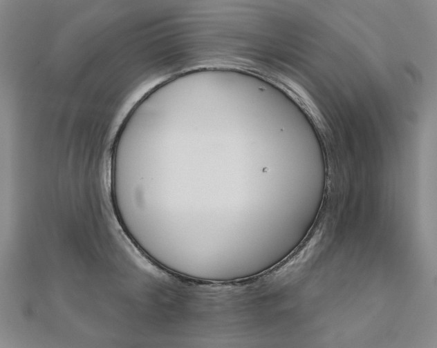 X0000110960804200906191048