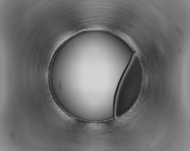 X0000110960805200906191048
