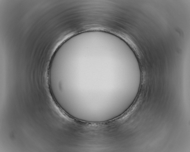 X0000110960806200906191048
