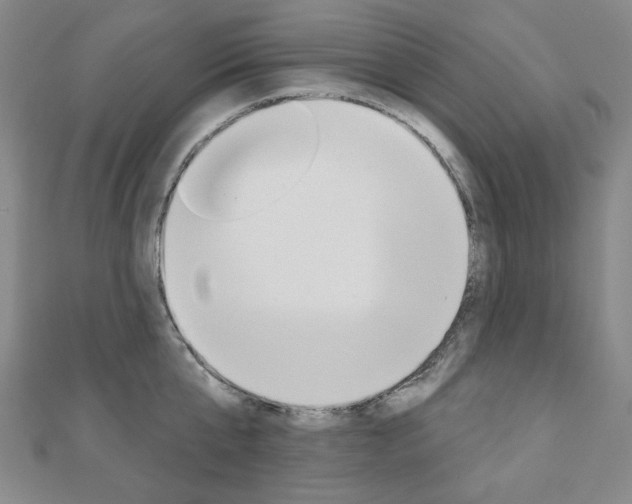 X0000110960807200906191048