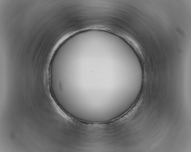 X0000110960808200906191048
