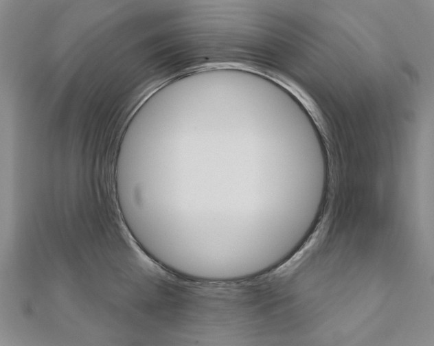 X0000110960809200906191048