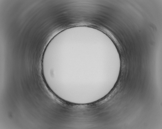 X0000110960810200906191048