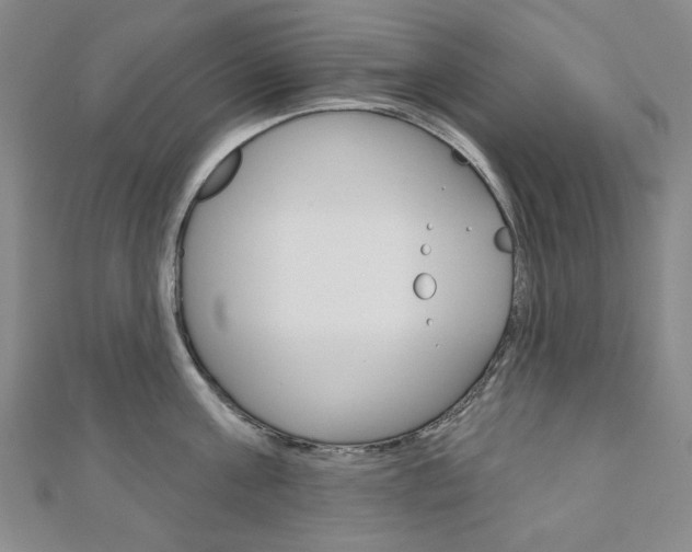 X0000110960811200906191048