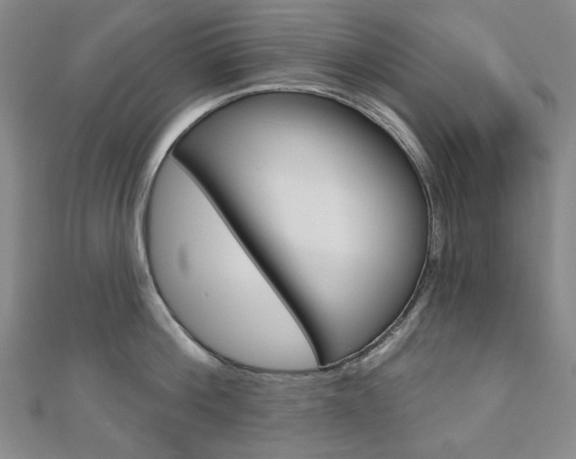 X0000110960812200906191048