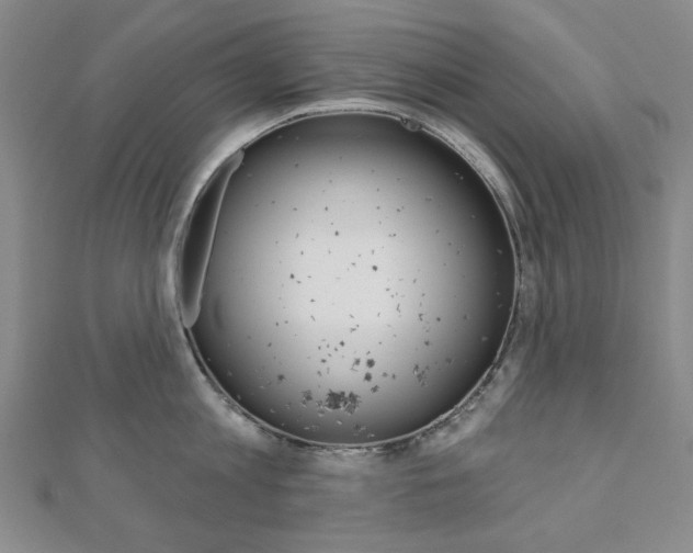 X0000110960813200906191048