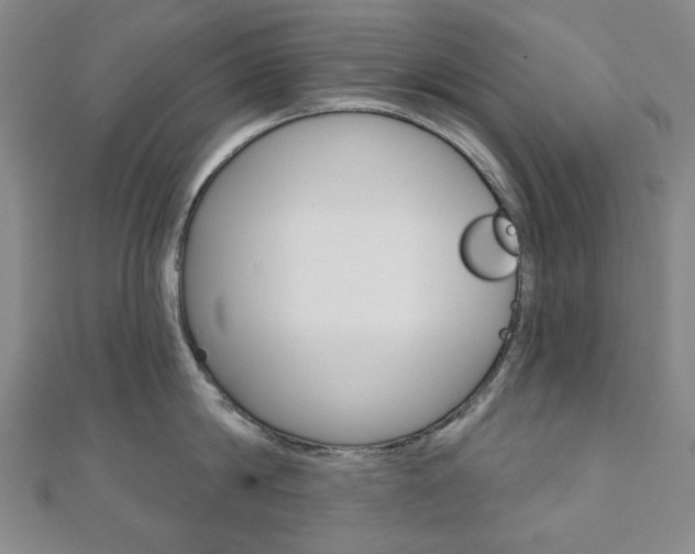 X0000110960814200906191048