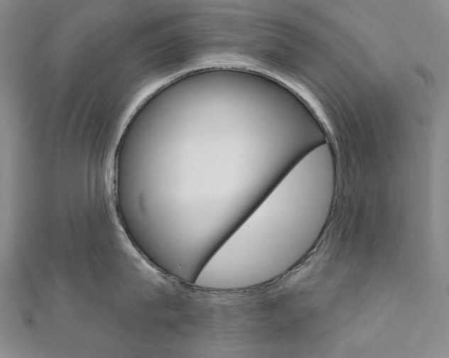 X0000110960815200906191048