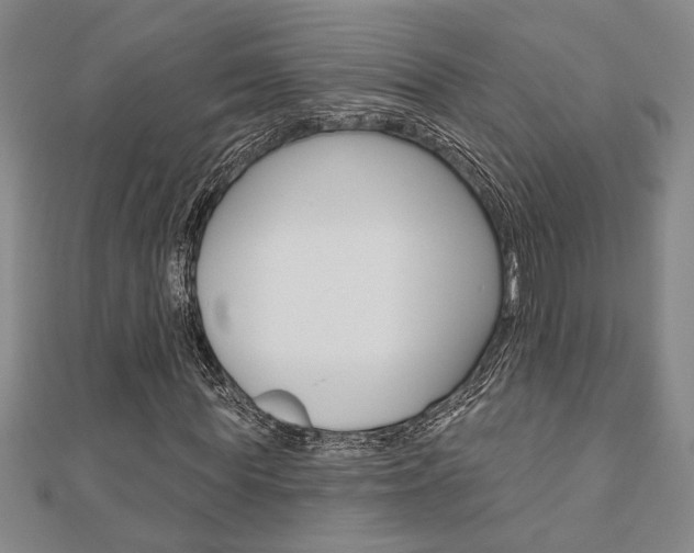 X0000110960819200906191047