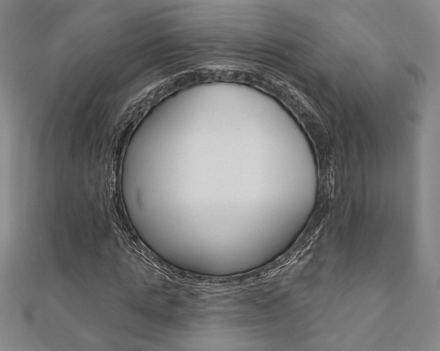 X0000110960821200906191047