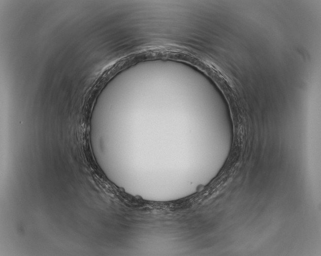 X0000110960822200906191047