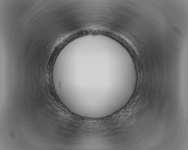 X0000110960823200906191047