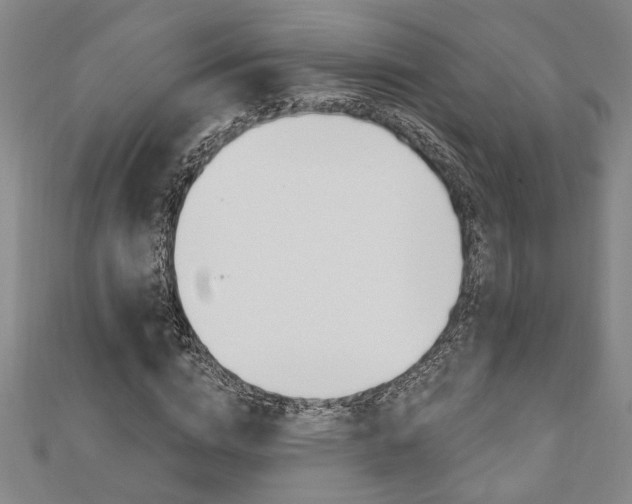X0000110960824200906191047