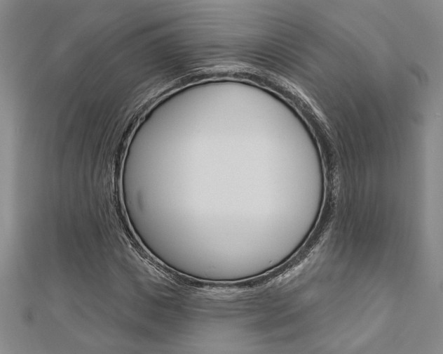 X0000110960825200906191047