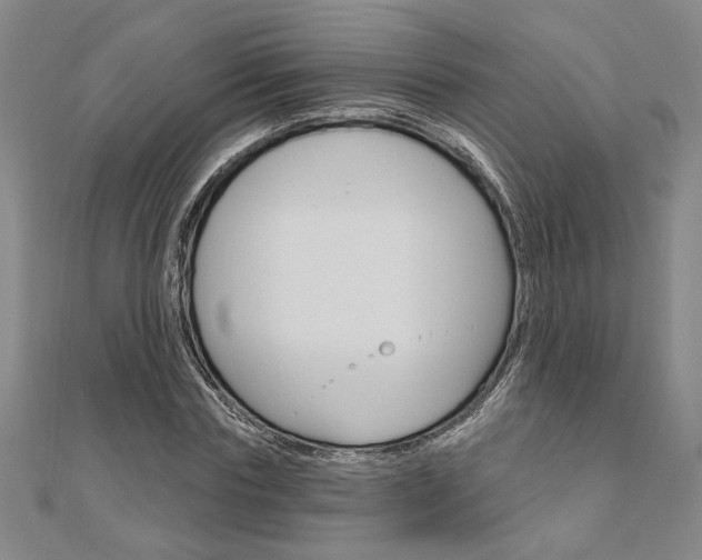 X0000110960827200906191048