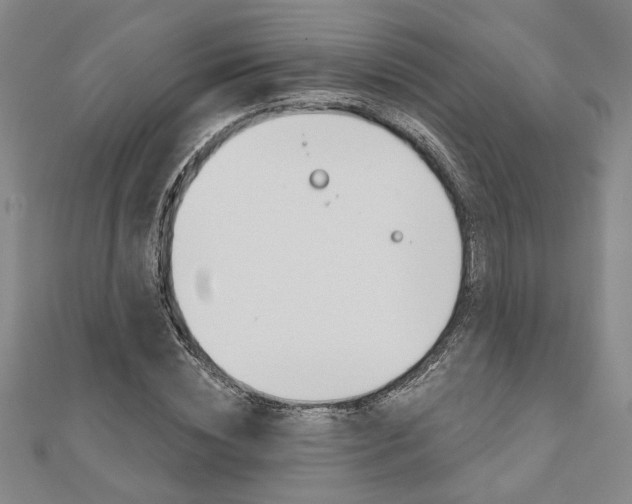 X0000110960828200906191048