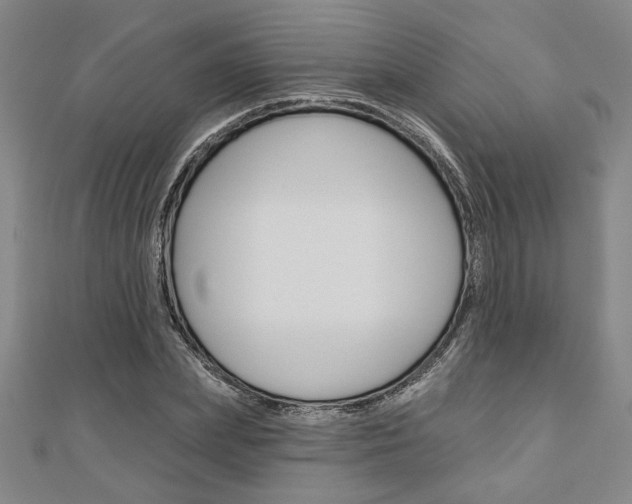 X0000110960831200906191048