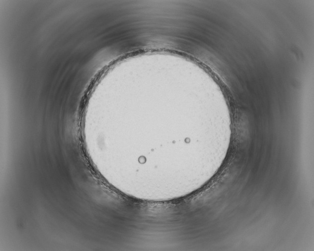 X0000110960832200906191048