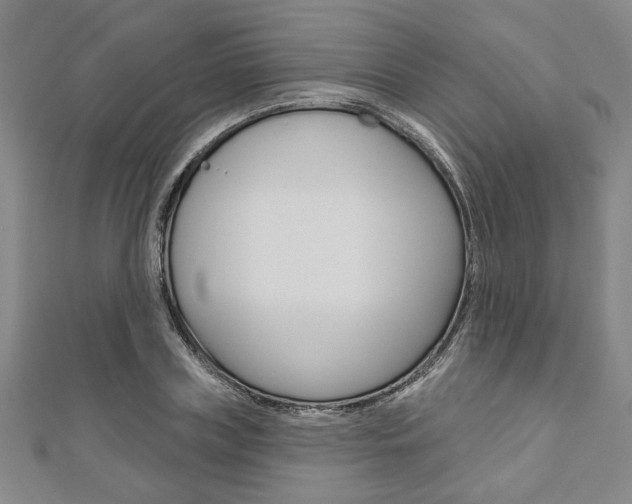 X0000110960835200906191048
