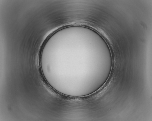 X0000110960838200906191048