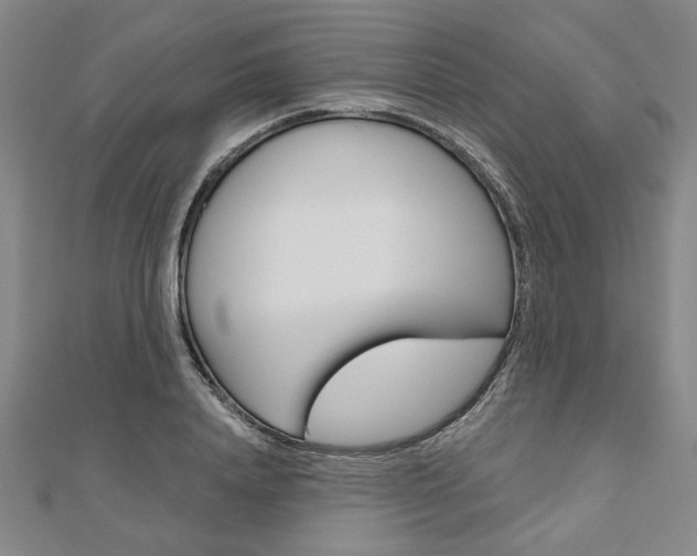 X0000110960840200906191048