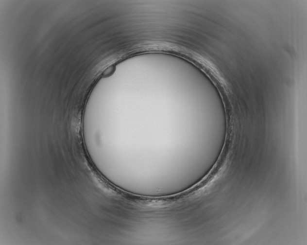 X0000110960841200906191048