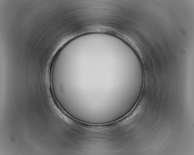 X0000110960843200906191048