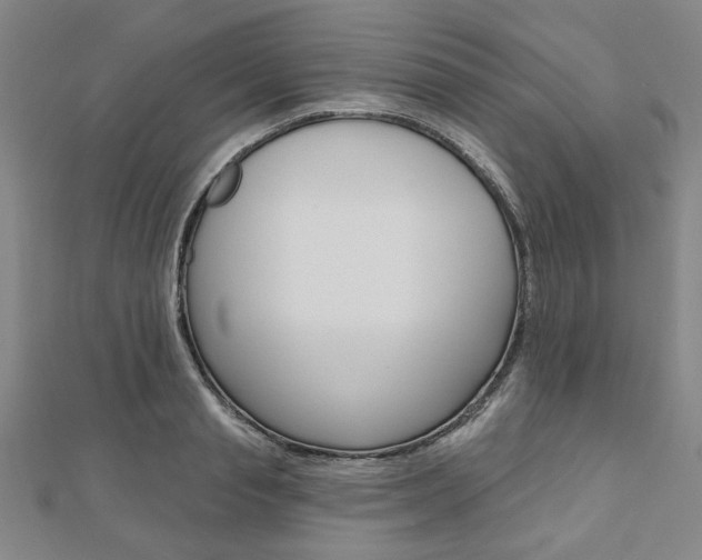 X0000110960845200906191048