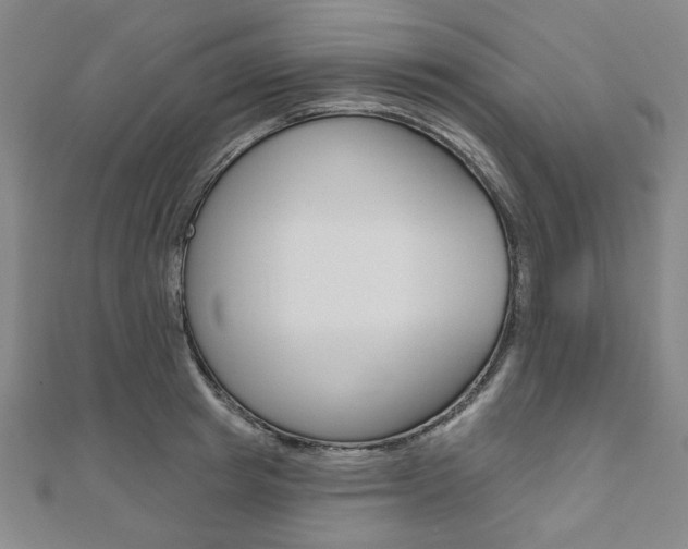 X0000110960849200906191048