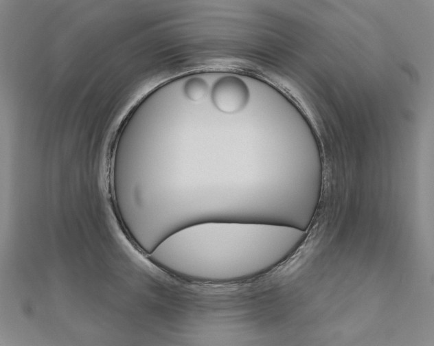 X0000110960851200906191048