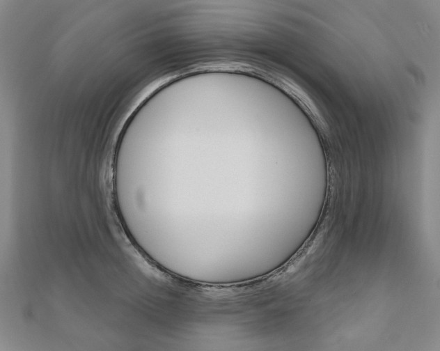 X0000110960852200906191048