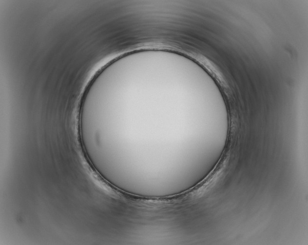 X0000110960854200906191048