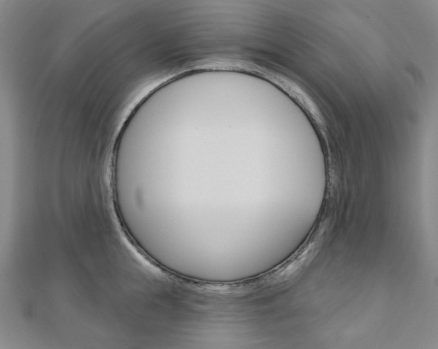 X0000110960855200906191048