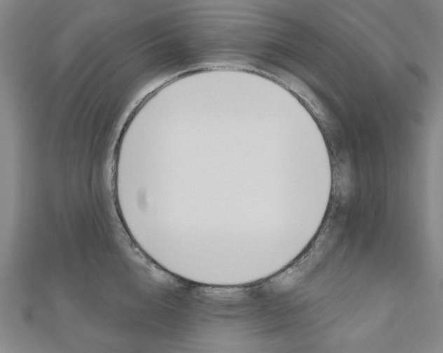 X0000110960856200906191048