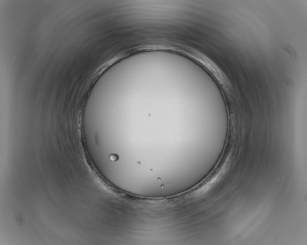 X0000110960857200906191048