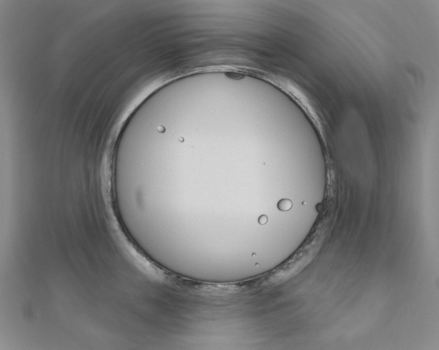 X0000110960859200906191048